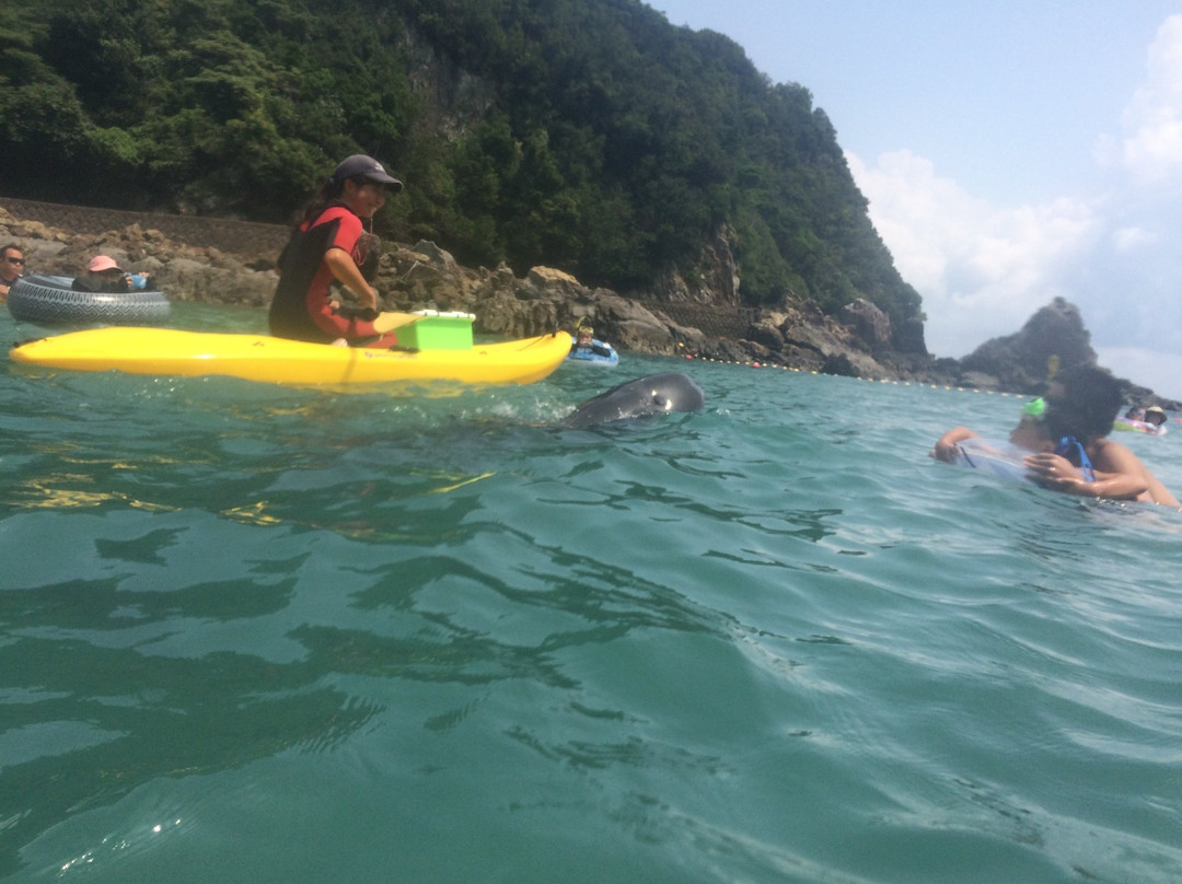 Kujirahama Beach-太地町必去景点
