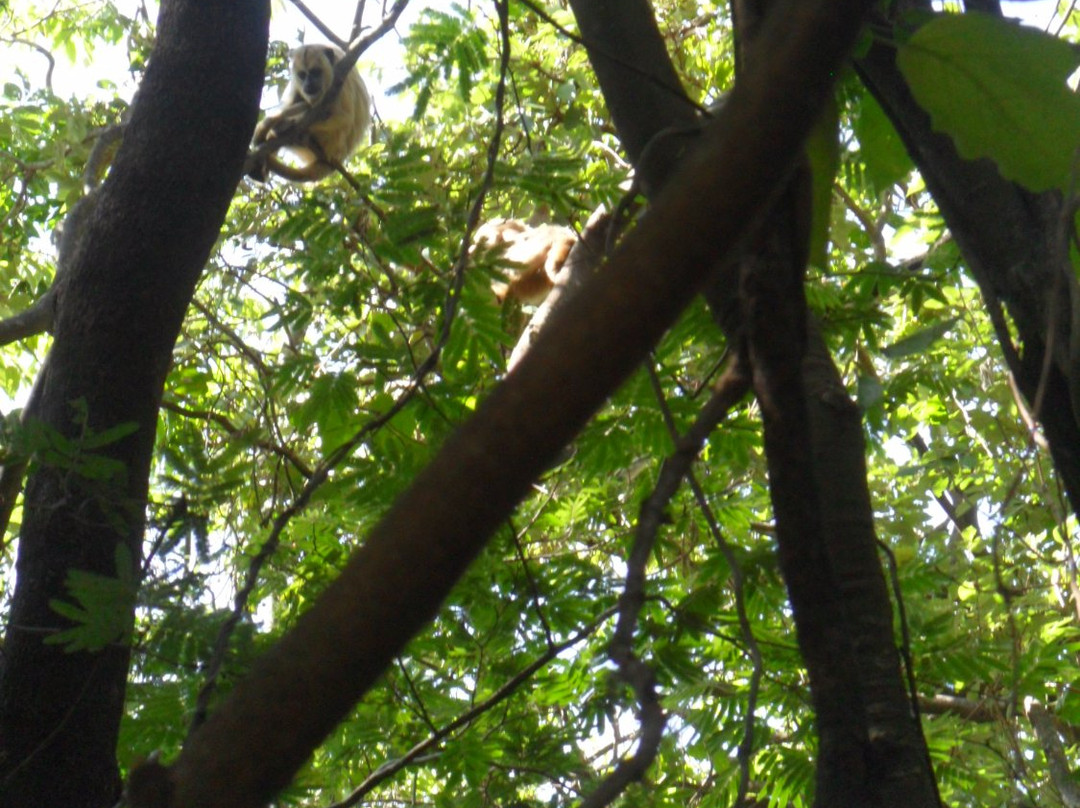 Parque Ecologico Do Matao-沃特兰亭必去景点