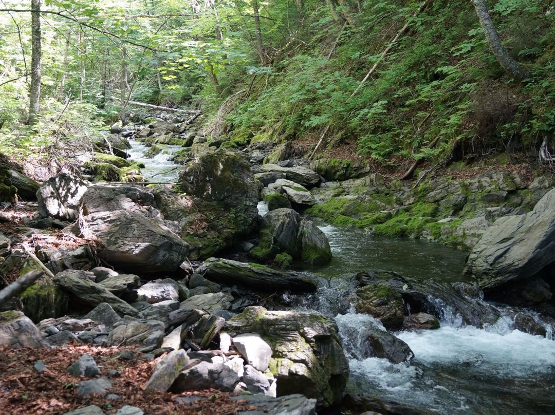 Sentiers de Randonnee Pedestre-Carleton-sur-Mer必去景点