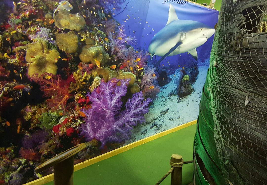 Ambarvale旅游景点-Mega Mini Golf