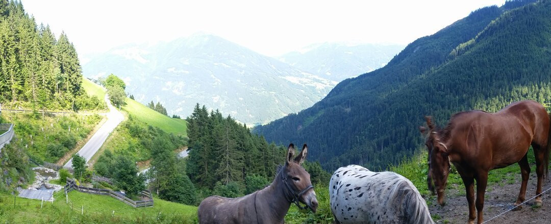 Fuegenberg旅游攻略图片