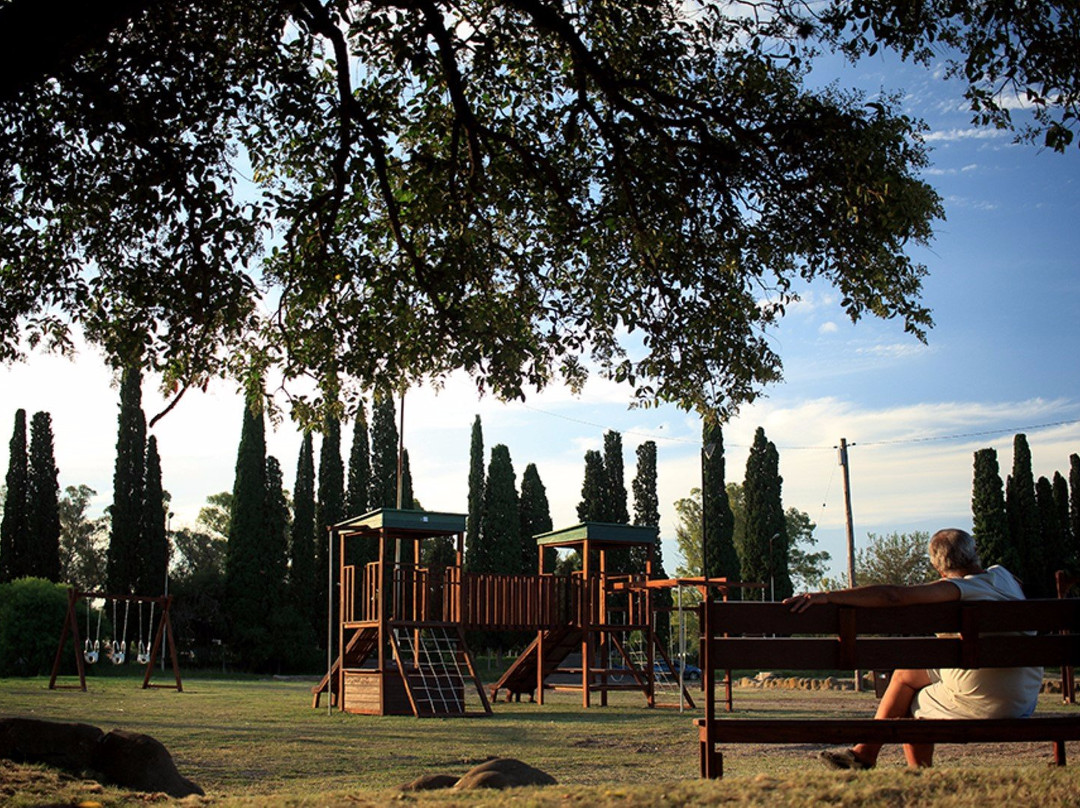 Parque Municipal景点图片