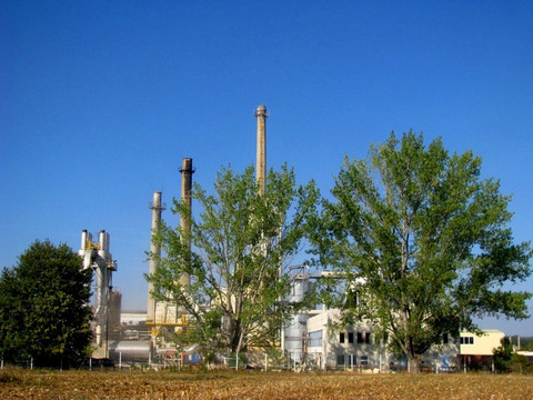 Dolni Chiflik旅游攻略图片