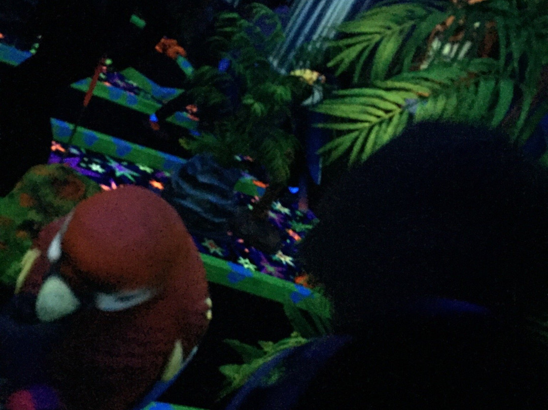 Power Kart Raceway-堪培拉必去景点