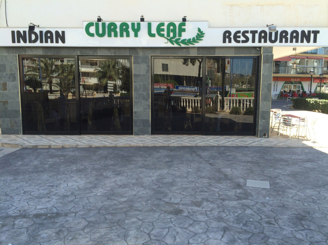 Curry Leaf