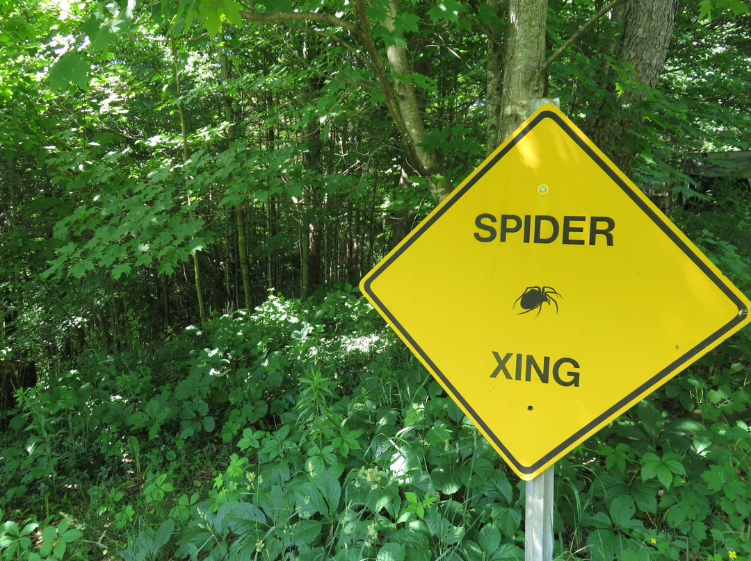 Knight's Spider Web Farm-Williamstown必去景点