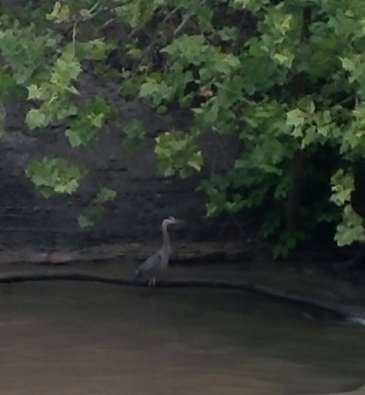 Boston Store Visitor Center-Peninsula必去景点