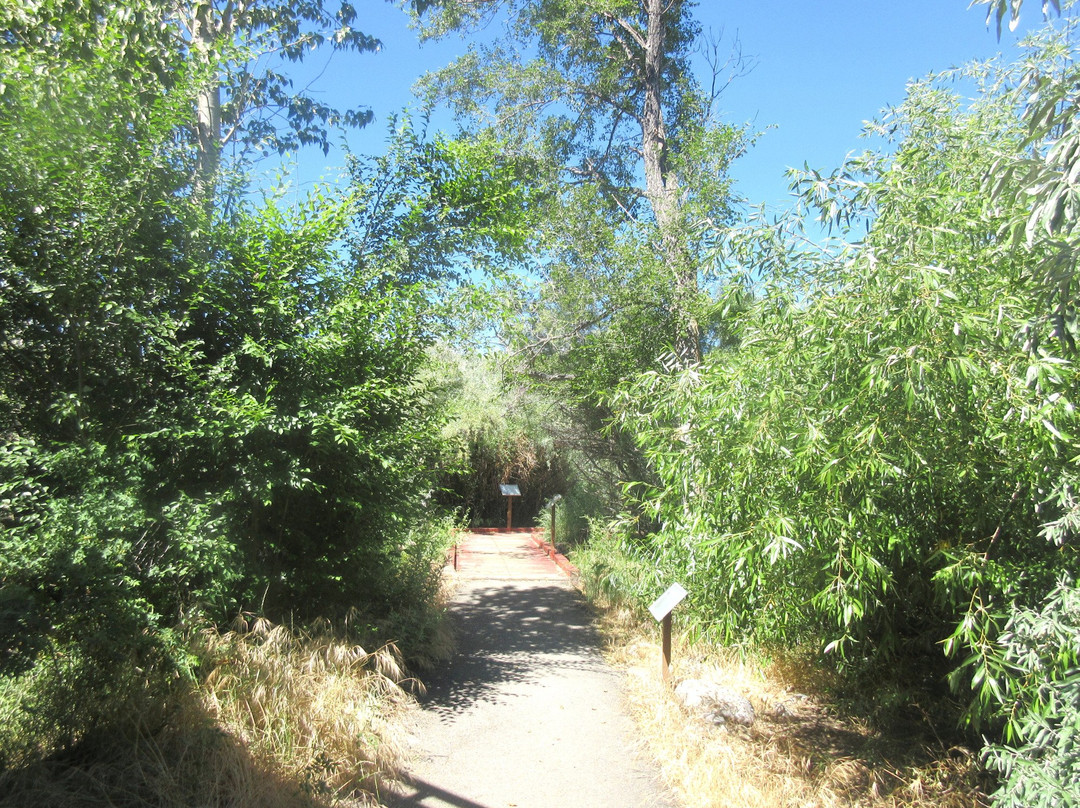 Oxbow Nature Study Area-里诺必去景点