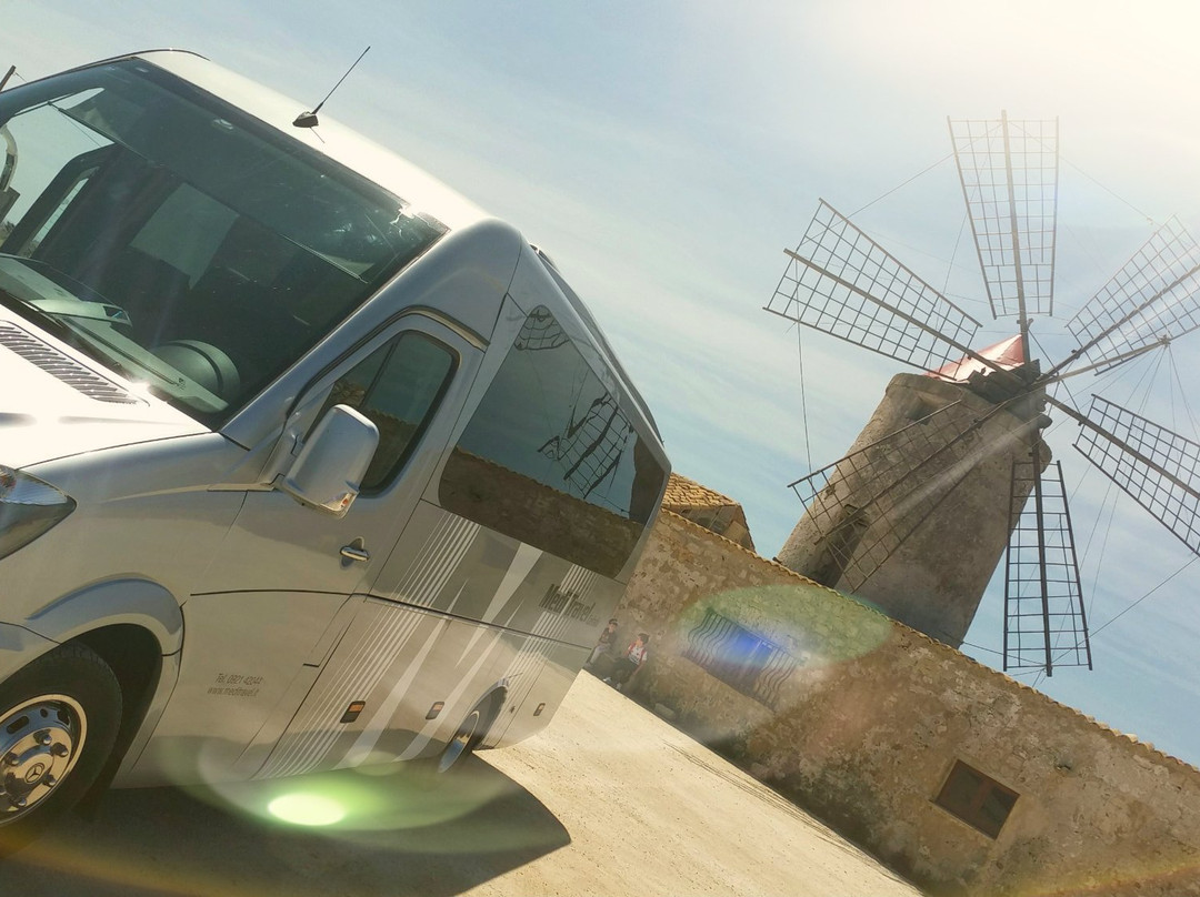 Meditravel - Sicily Tour & Rent a Car-切法卢必去景点