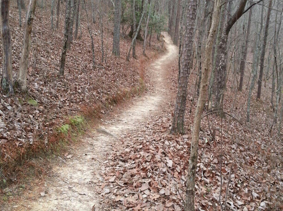 Pine Mountain Recreation Area-Cartersville必去景点