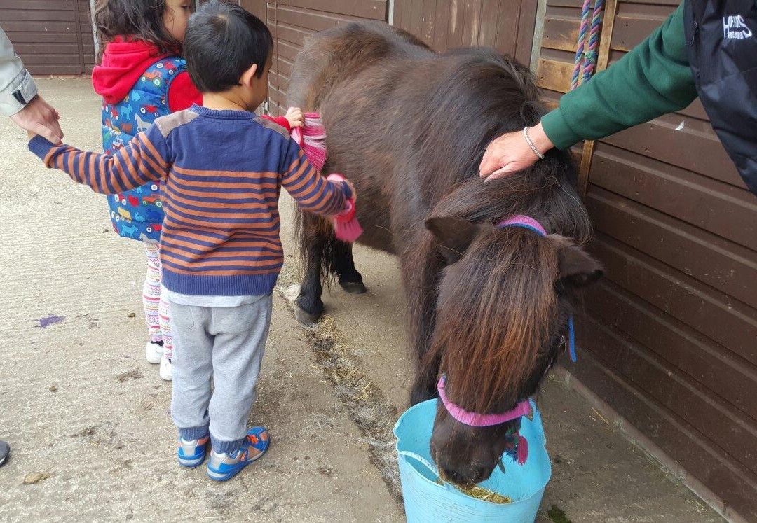 Hope Pastures景点图片