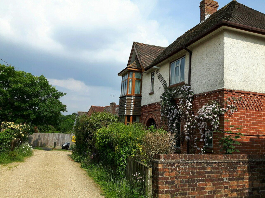 Acorns of Lyndhurst