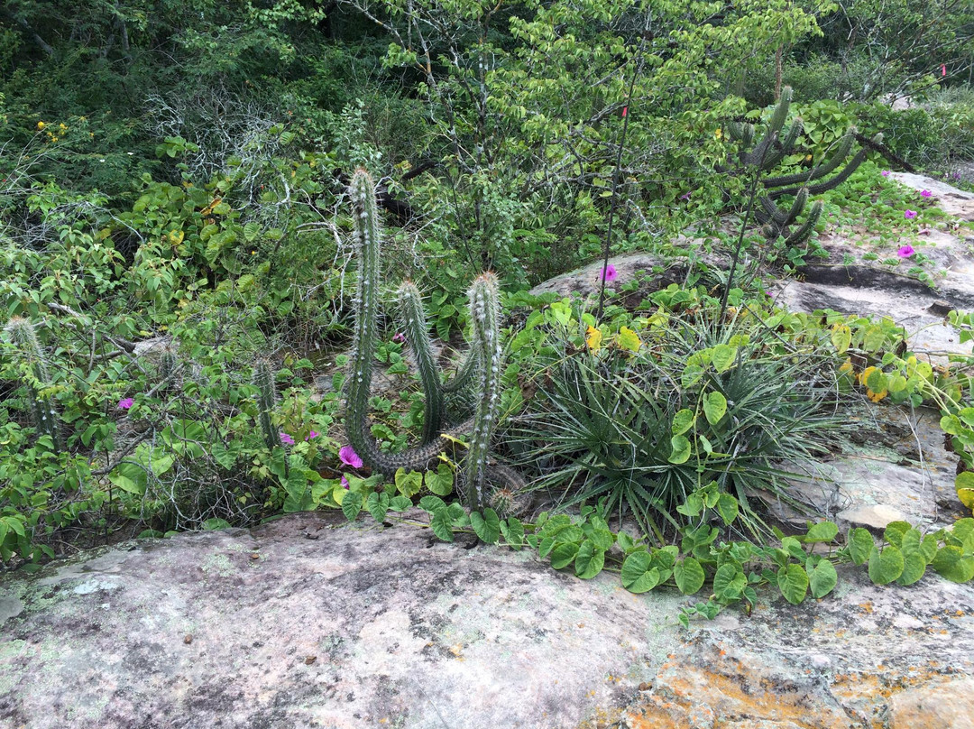 Crateus旅游攻略图片