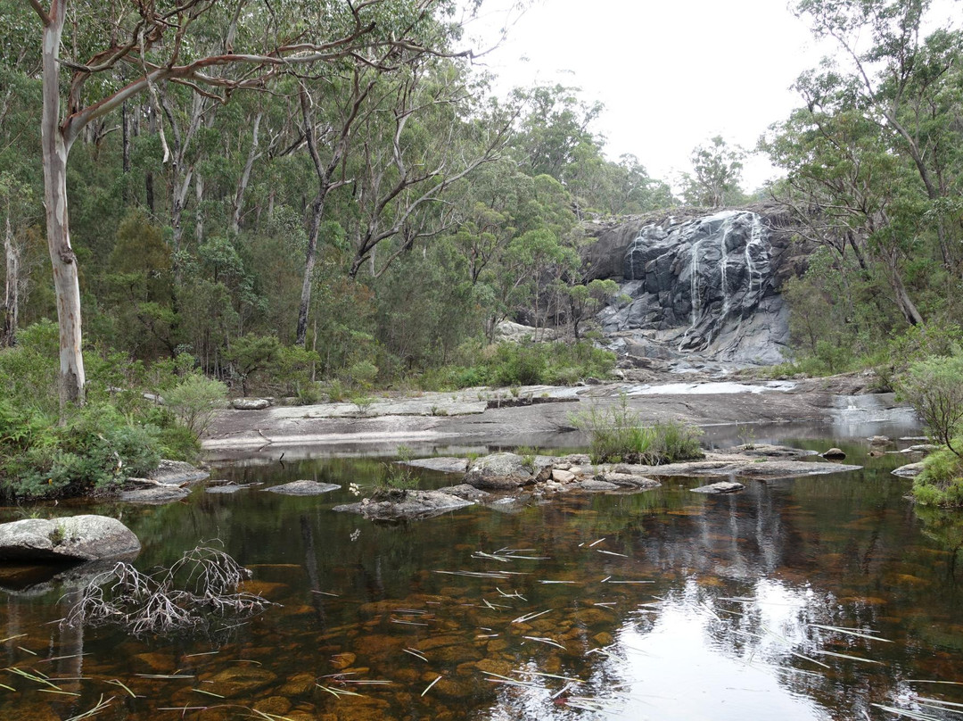 Basket Swamp National Park景点图片