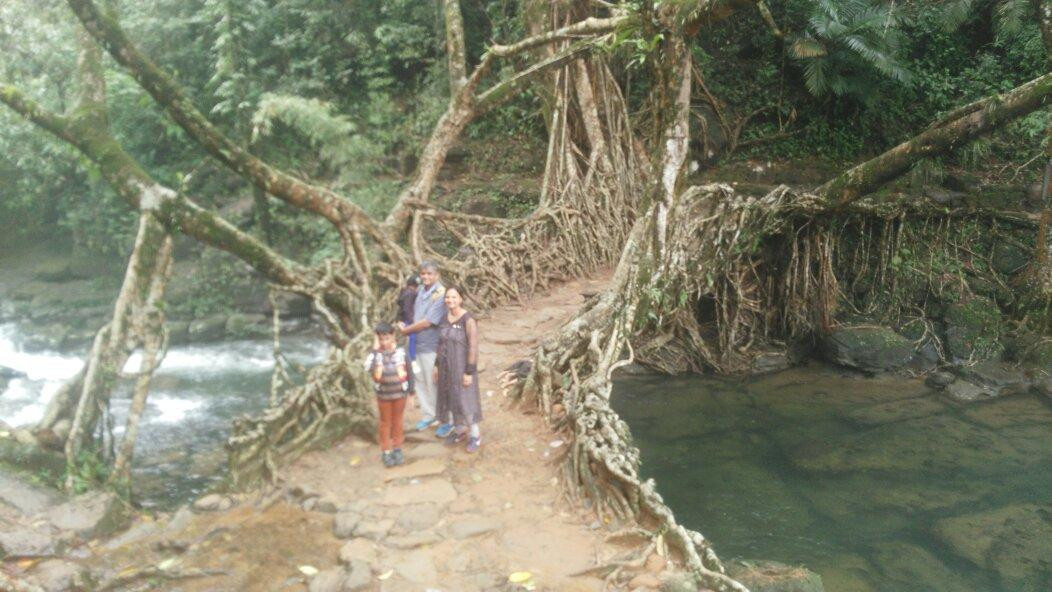 Jingmaham Living Root Bridge景点图片
