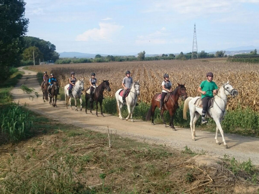 Hipica Begur Excursions a Caballo景点图片