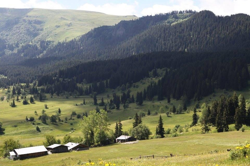 Goartvin-Tours景点图片
