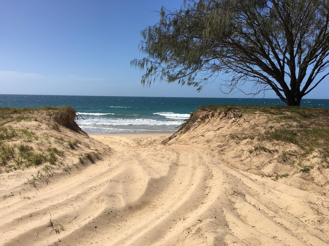 Burrum Coast National Park景点图片