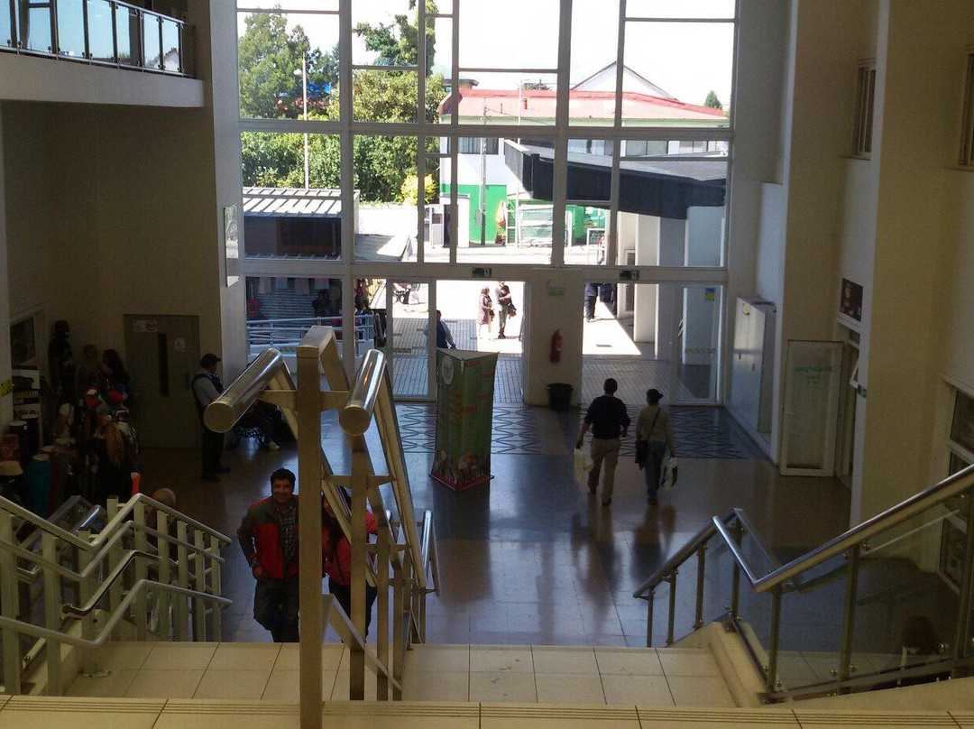 Mercado Central de Osorno-Osorno必去景点