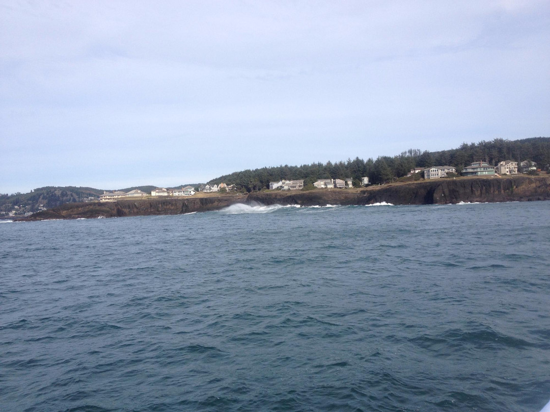 Whale, Sea Life and Shark Museum-Depoe Bay必去景点