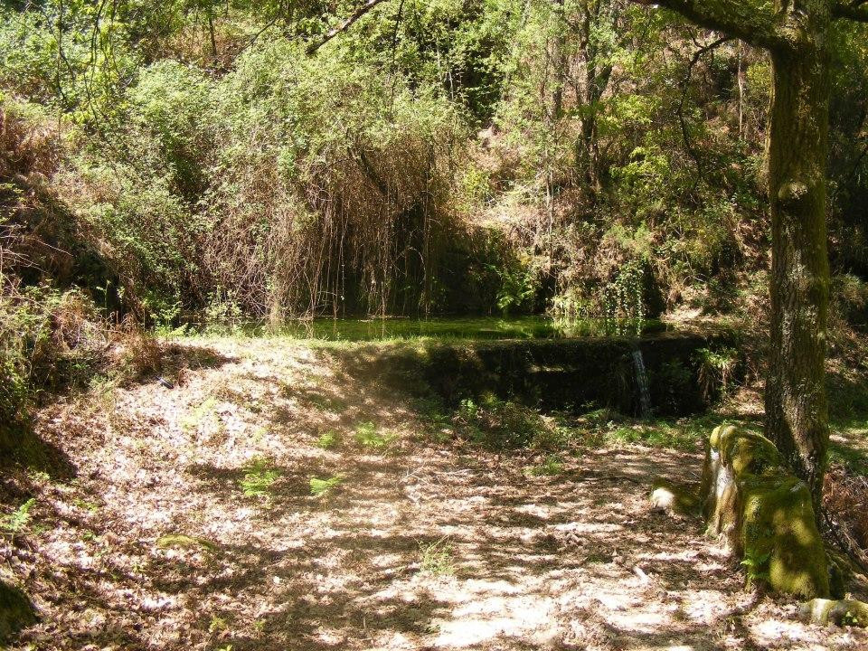 Cabril Eco Rural景点图片
