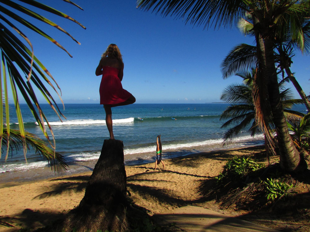 Samatahiti-吕康必去景点