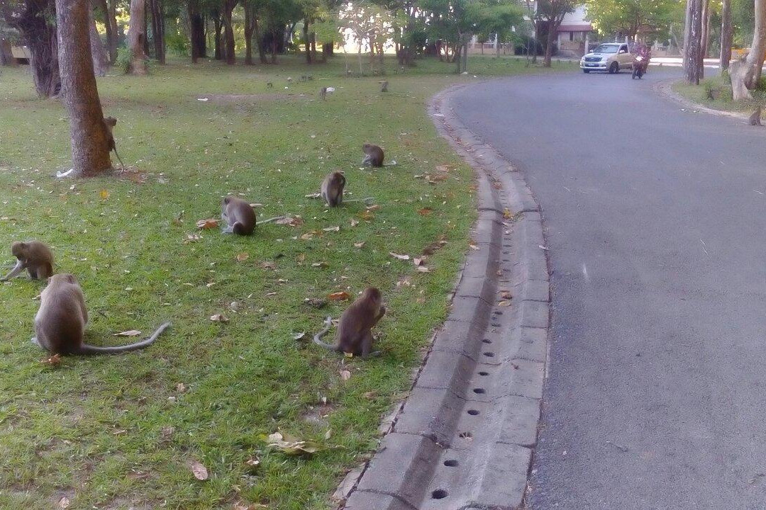 Khao To Phaya Wang Park-沙敦必去景点