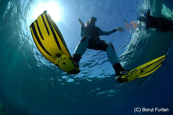 Diving Center FOKA-诺瓦利亚必去景点