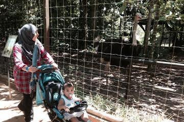 Kemaman Recreation Park and Mini Zoo (Taman Rekreasi dan Mini Zoo Kemaman)-Hulu Chukai必去景点