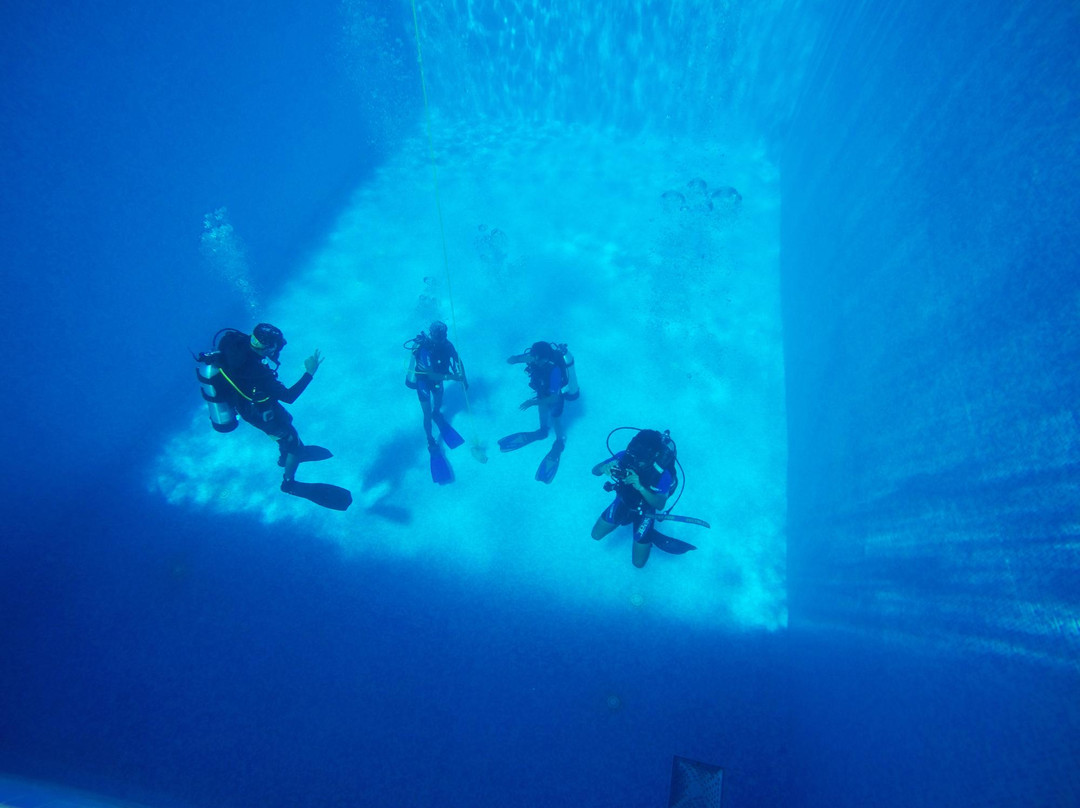 Indian Institute of Scuba Diving & Aquatic Sports景点图片