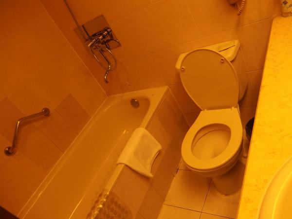 瑞泰酒店(上海虹桥店)-浴室