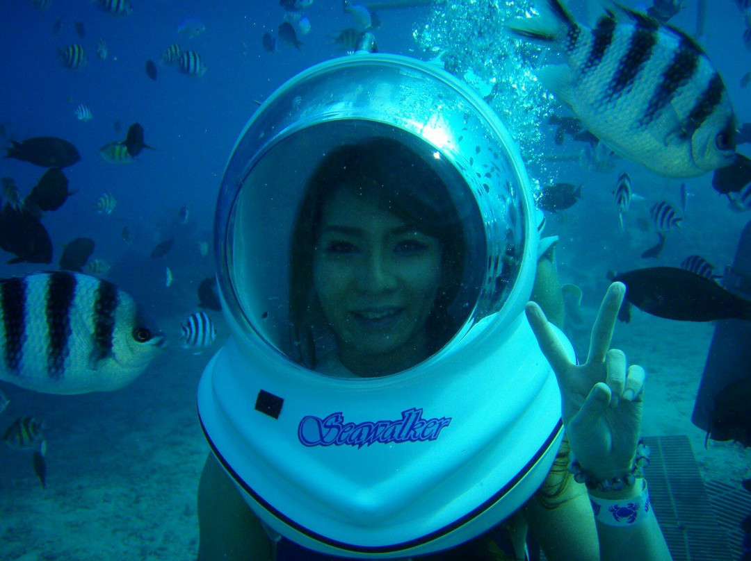 Seawalker Tours-Piti必去景点