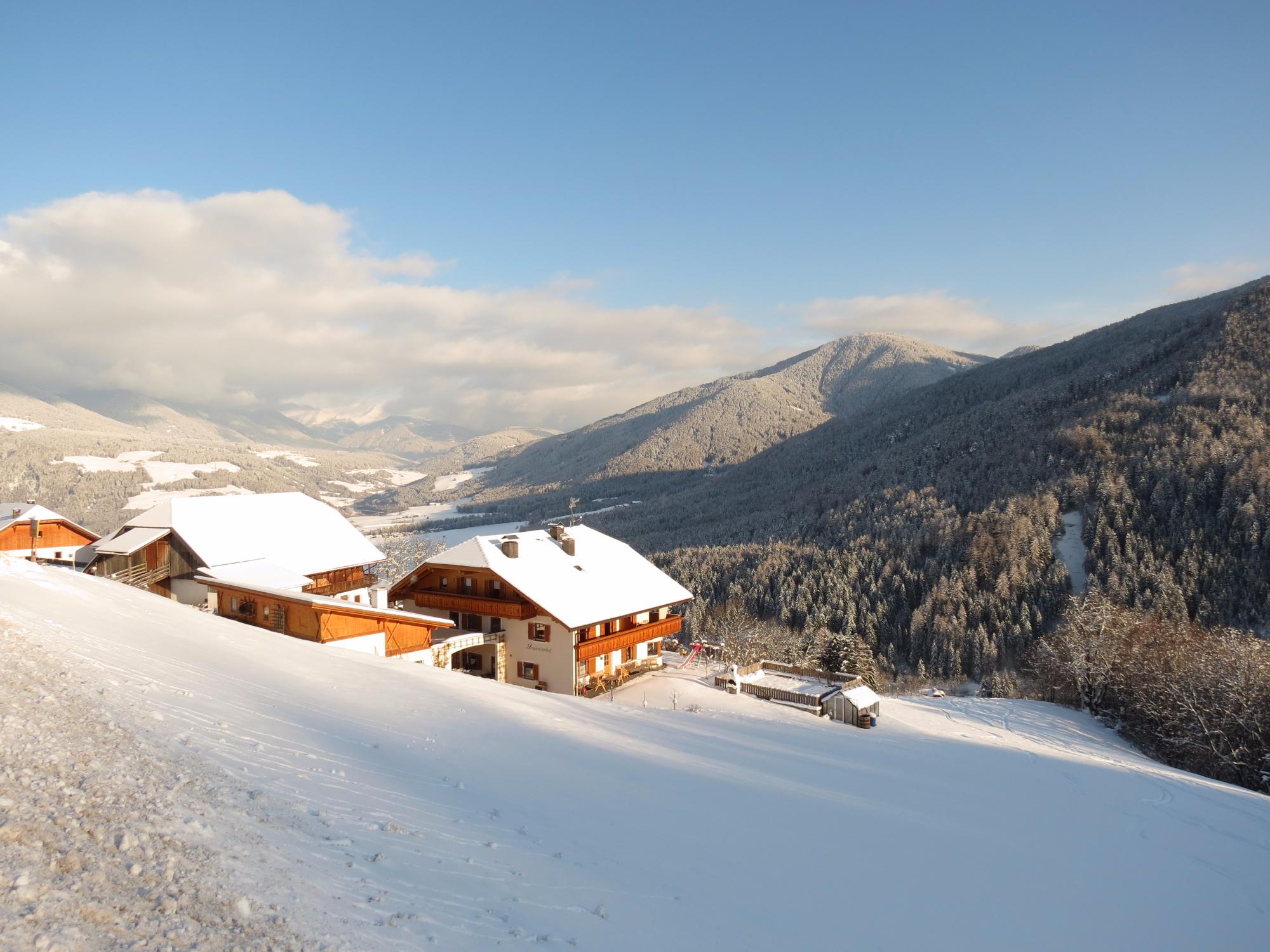 Innermitterhof-官方