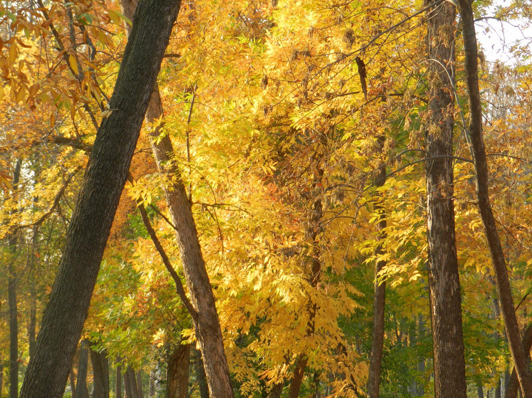Central Park of Culture and Recreation-Salavat必去景点