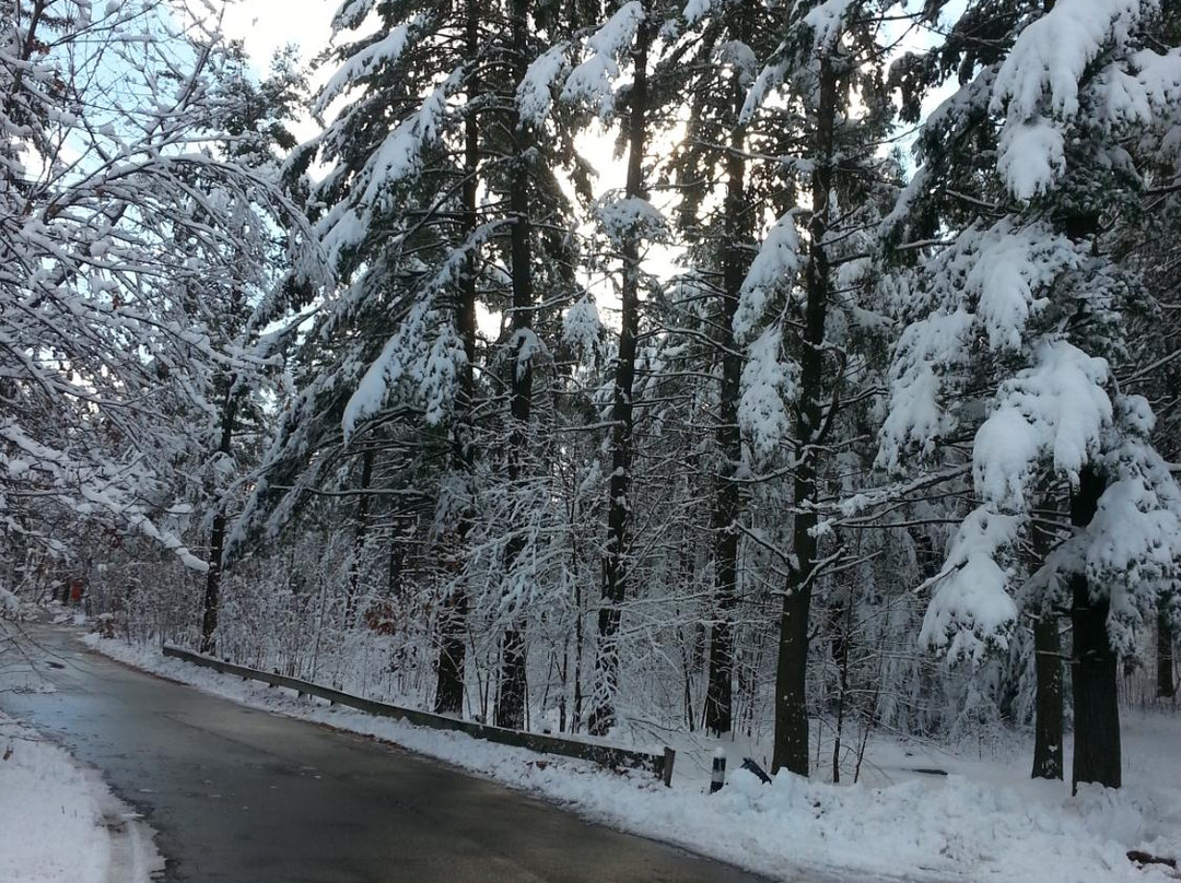 Coggshall Park-Fitchburg必去景点