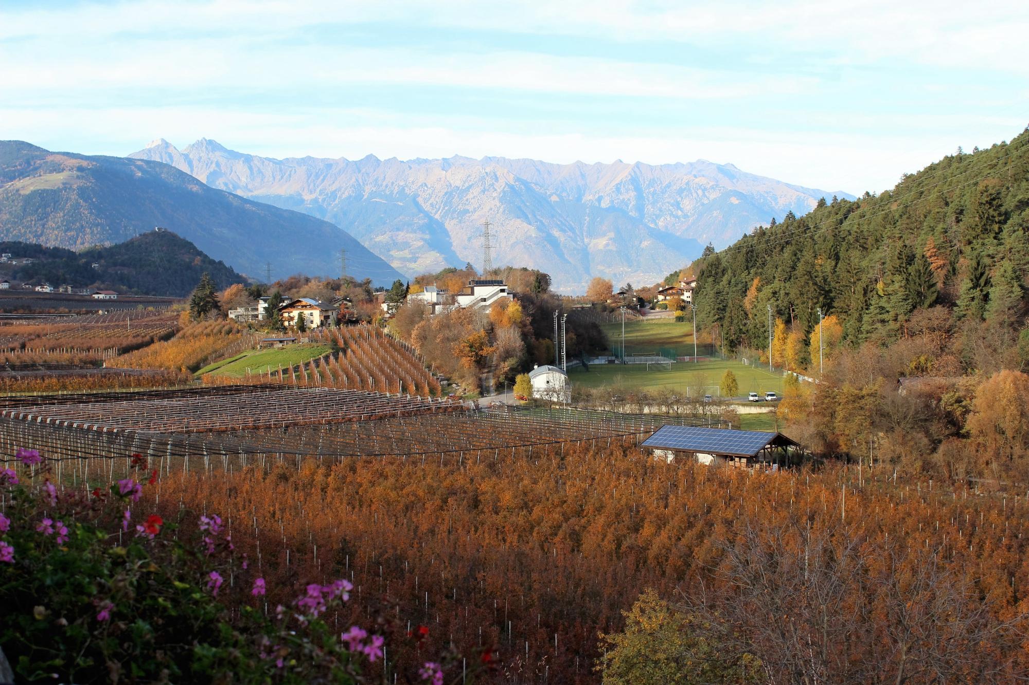 Pension Felsenegg-酒店景观