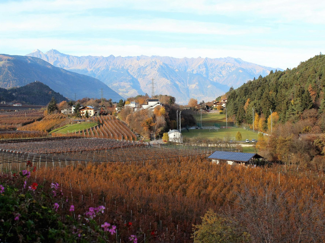 Pension Felsenegg主图