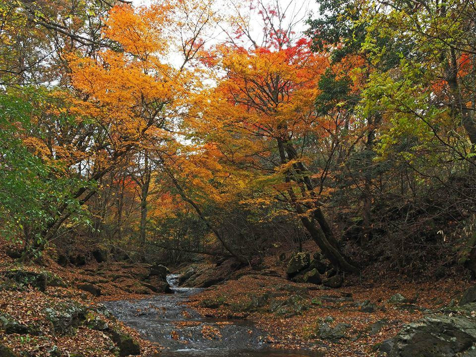 Mazeno Valley景点图片