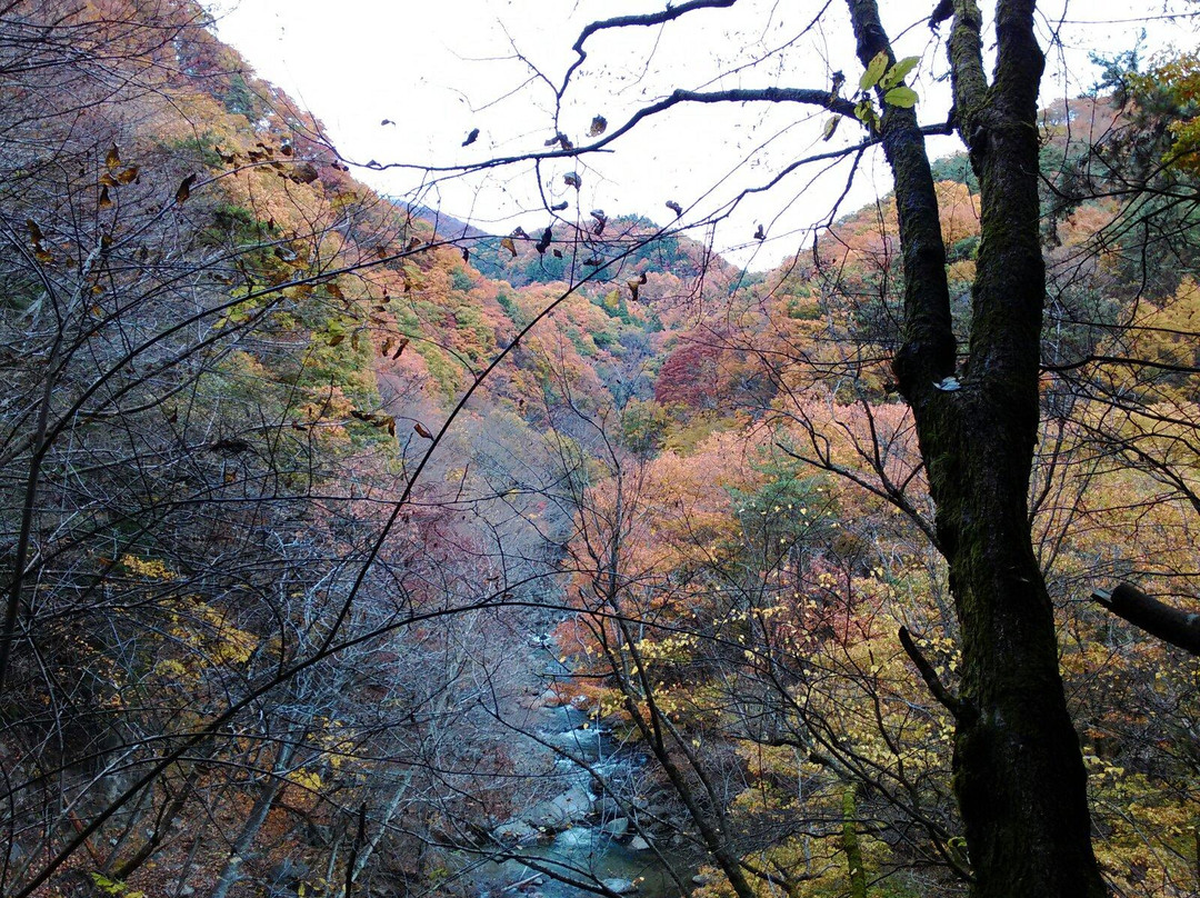 Ryumonkyo景点图片