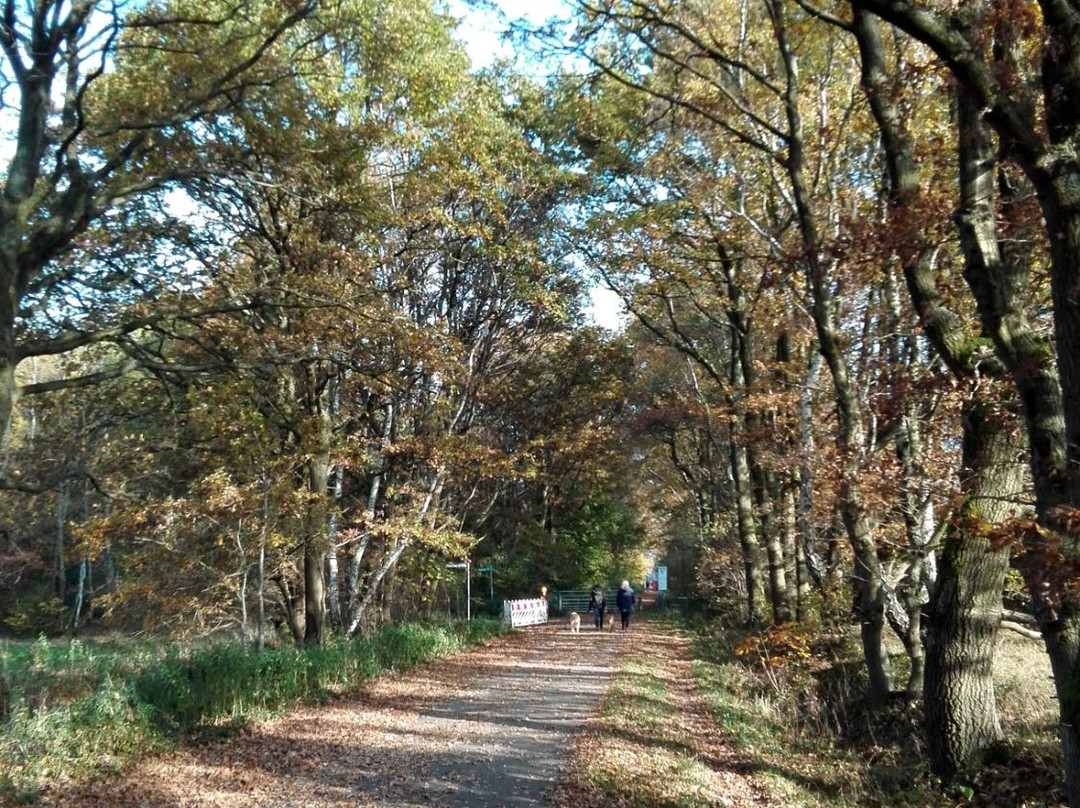 Naturschtuzgebiet Holtigbaum-汉堡必去景点