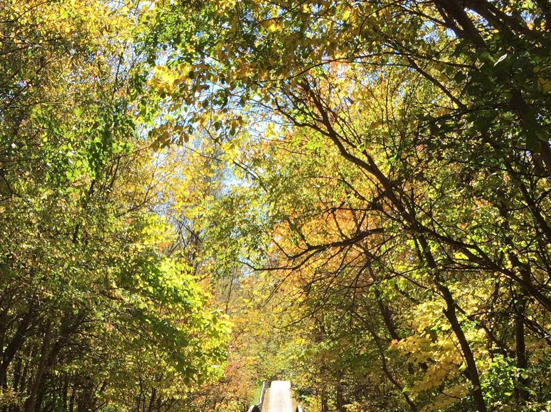 Constitution Trail-布卢明顿必去景点