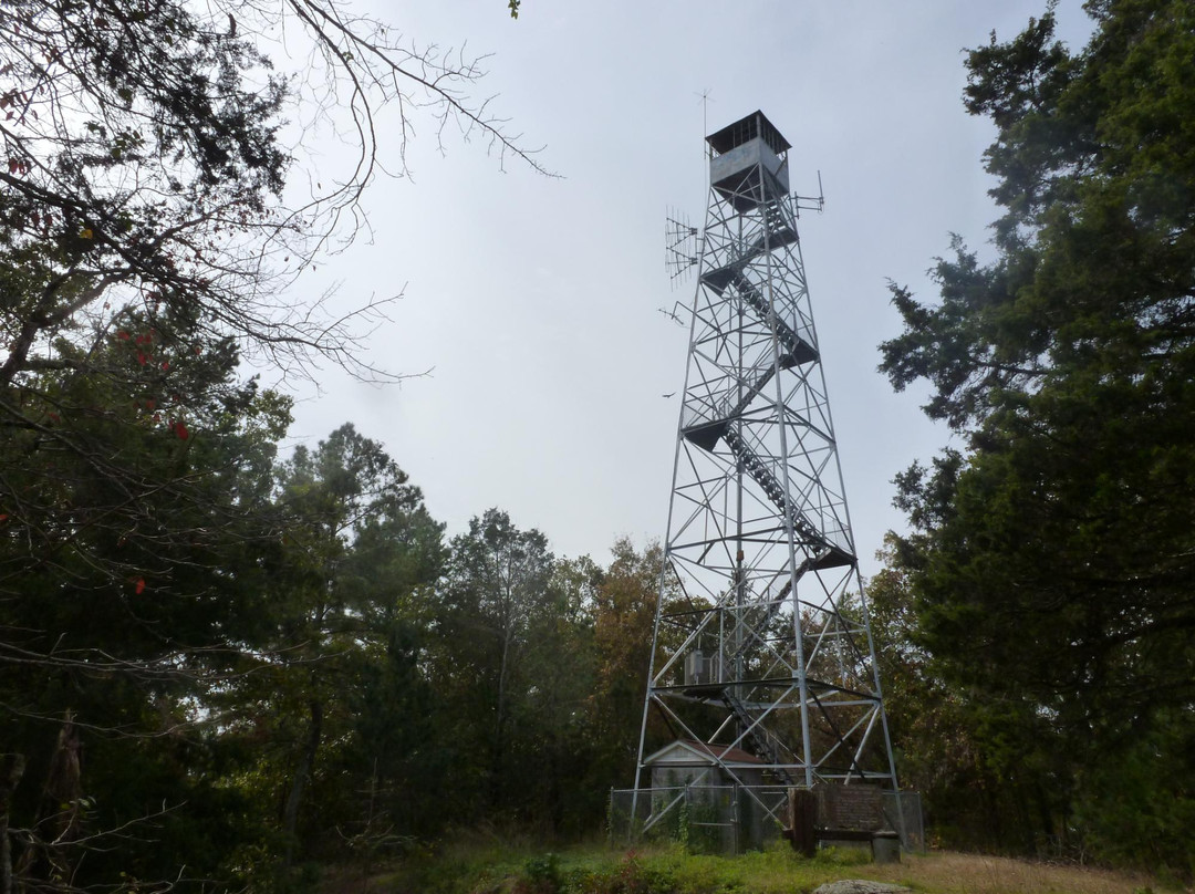 Parson's Mountain Recreation Area景点图片