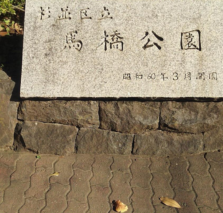 Mabashi Park-杉并区必去景点