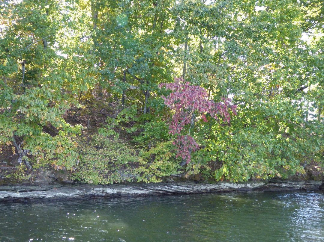 Wheeler Lake Scenic Cruises景点图片