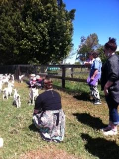 Providence Farm-下碧池蒙特区必去景点