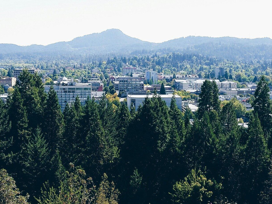 Skinner Butte Park-尤金必去景点