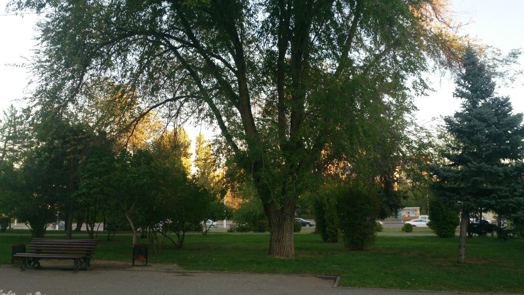Chekistov Square-伏尔加格勒必去景点