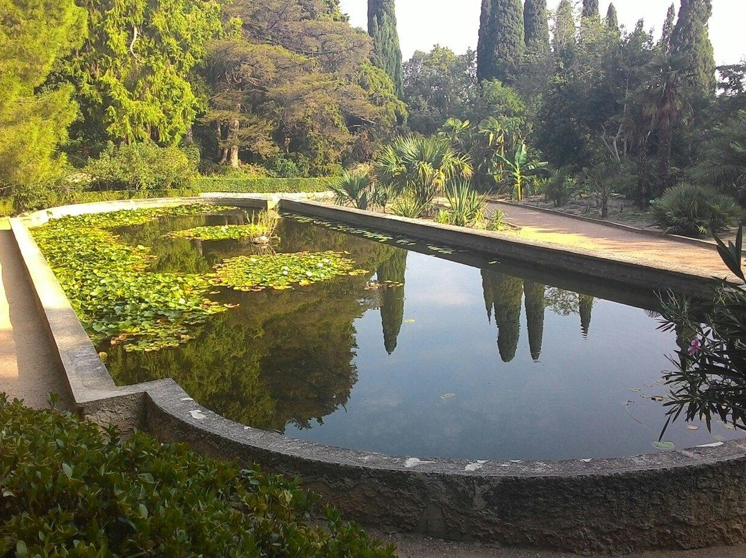 Nikita Botanical Gardens-Nikita必去景点