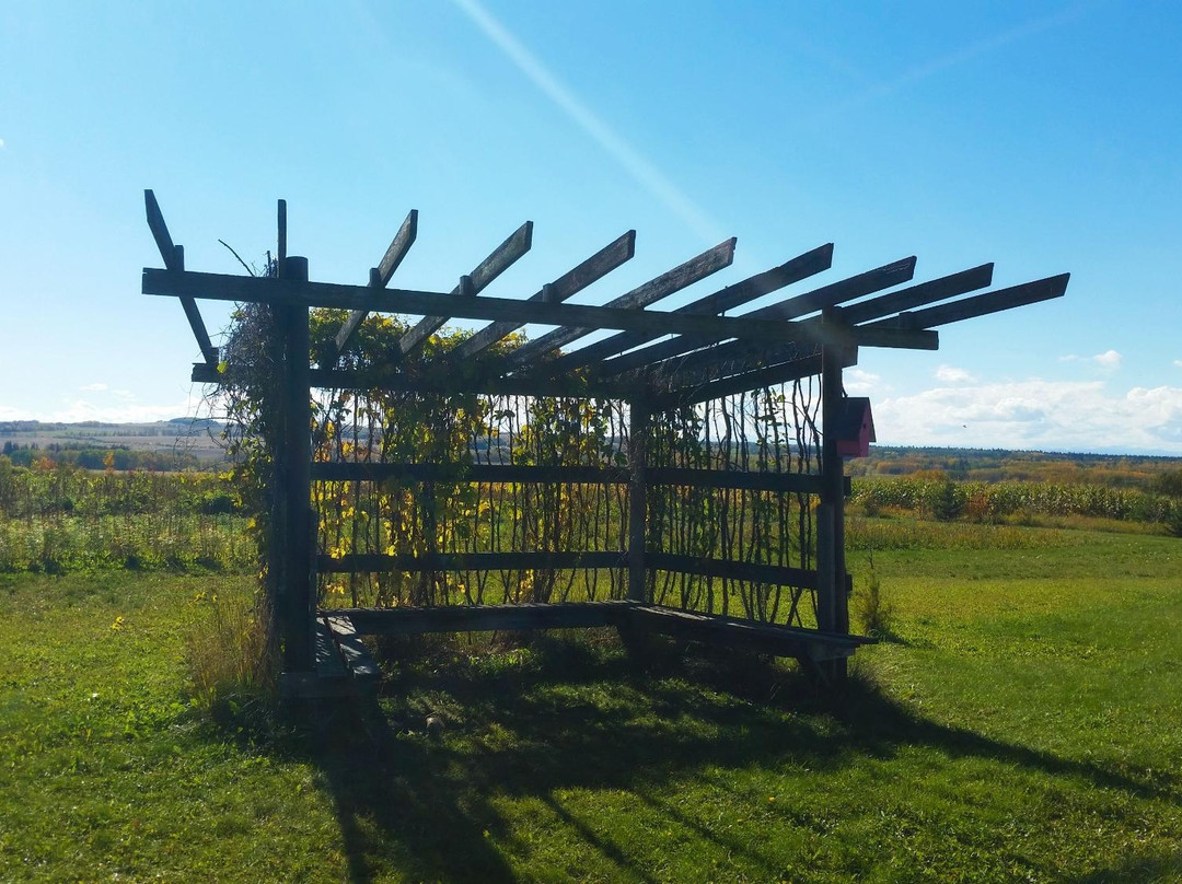 Bowden SunMaze & Eagle Creek Farms景点图片