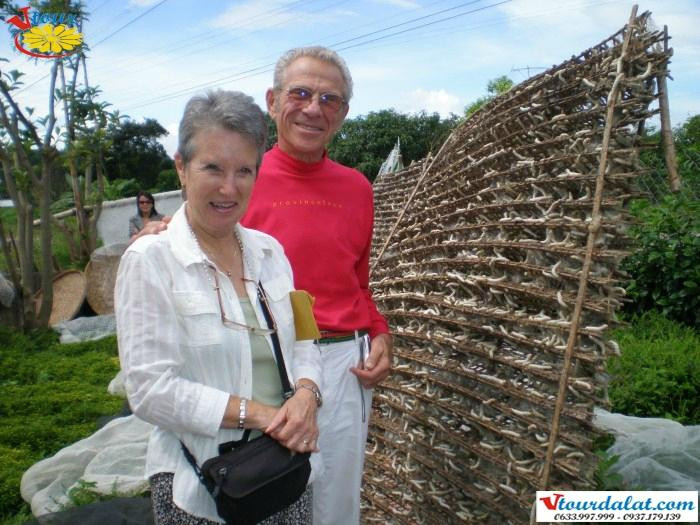 VTour Da Lat - Day tour-Lam Dong必去景点